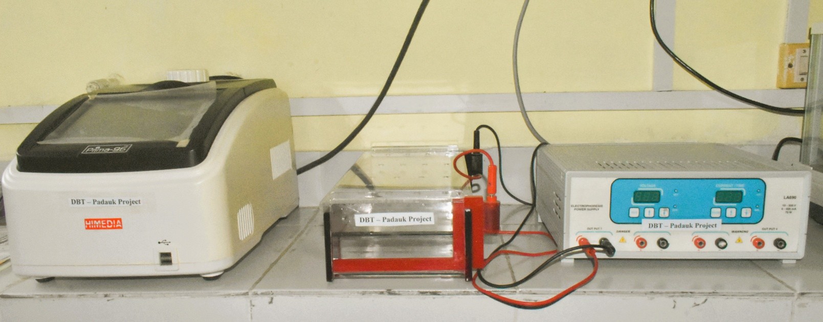 PCR and Gel Electrophoresis setup