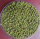 fodder_production_training