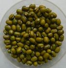 fodder_production_training