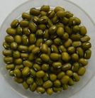 fodder_production_training