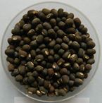 fodder_production_training